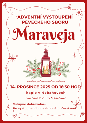 vystoupení pěveckého sboru